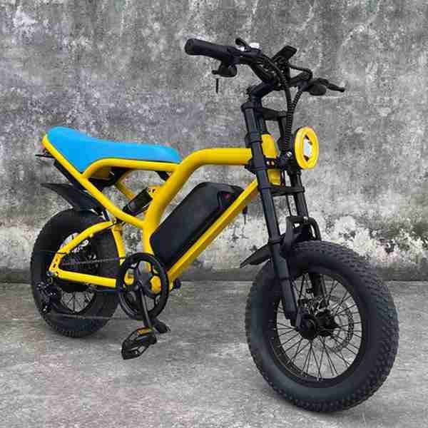 king range electric cargo bike