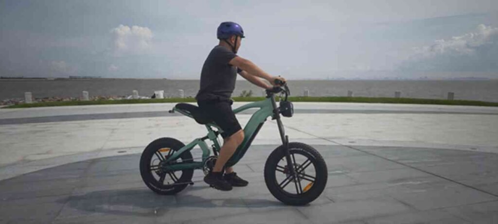 lehe s1 electric bike