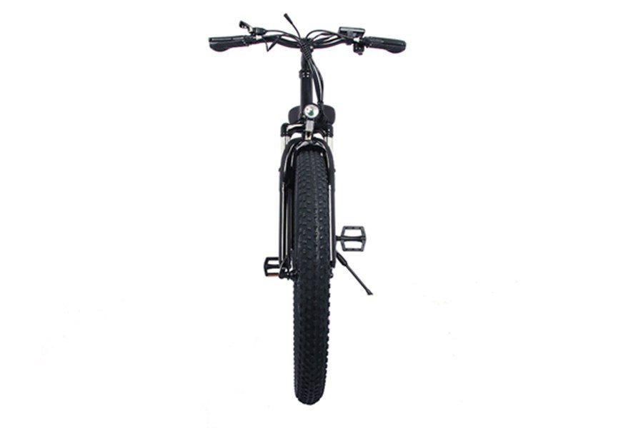 lithium battery electric bike