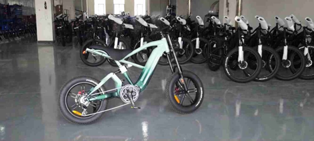 pedal assist electric dirt bike
