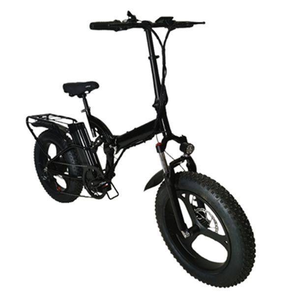 rental electric bike