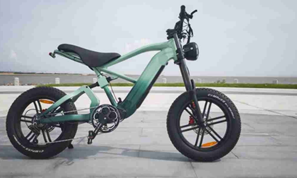 surron electric dirt bike sale