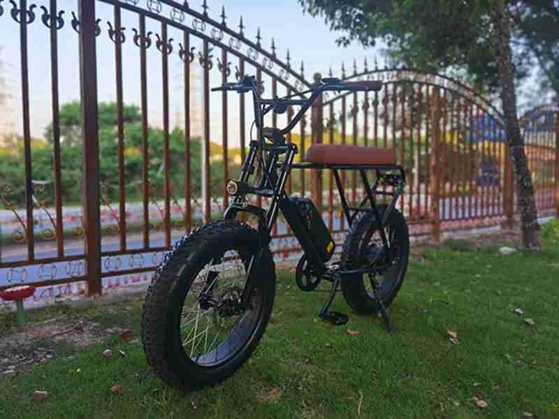 Import Electric Bike