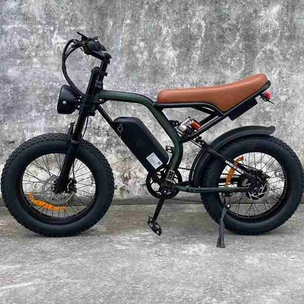 titanium electric bike