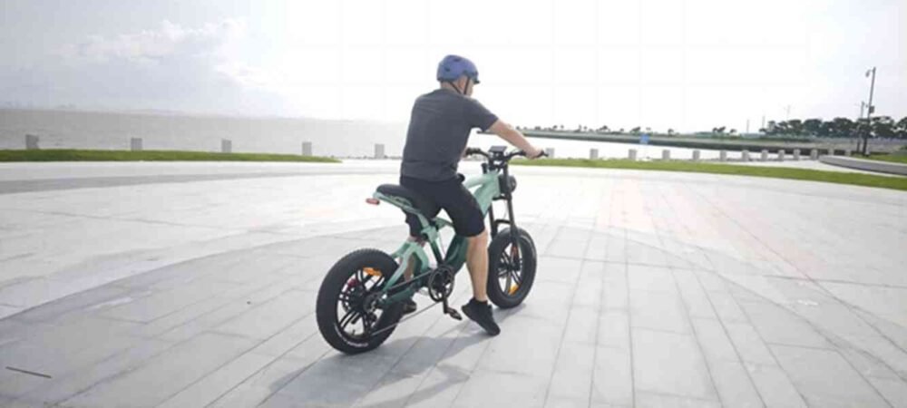 tri electric bike