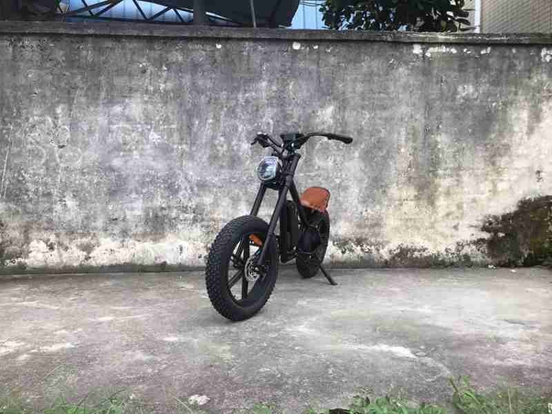 tricycle bike not electric