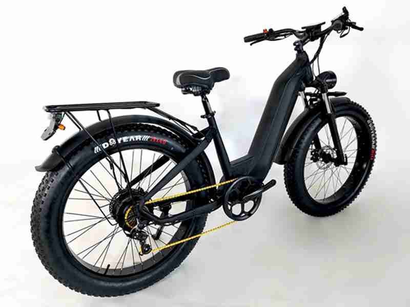truckrun electric mountain bike