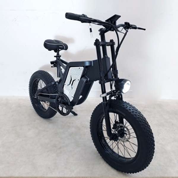 usa electric bike