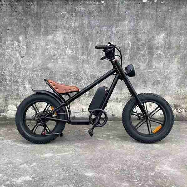windgoo electric bike