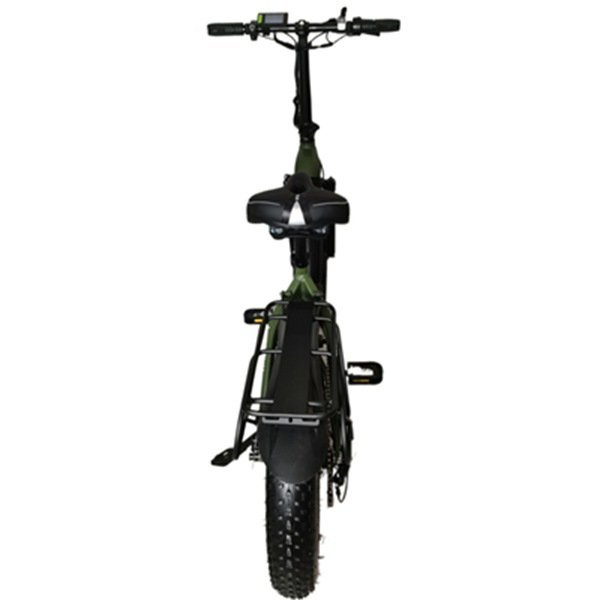 woman electric bike