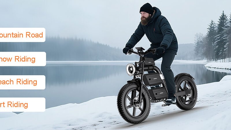 Chinese Factory Electric Bike