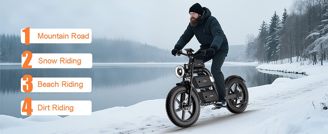 Chinese Factory Electric Bike