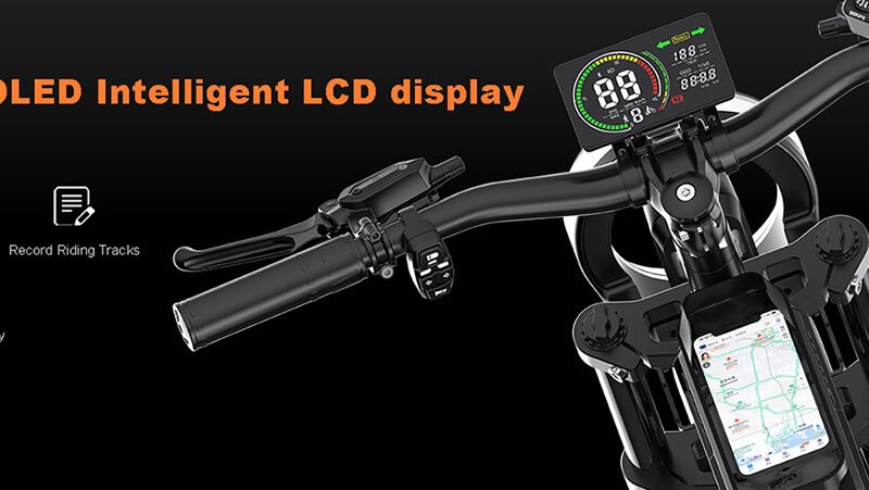 Price China Electric Bike