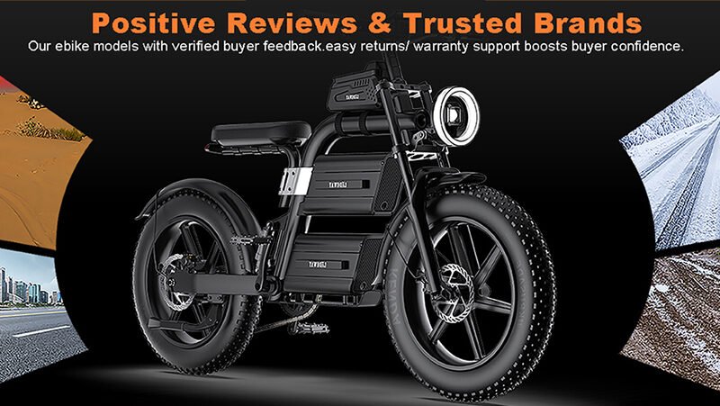 Chopper Electric Bike