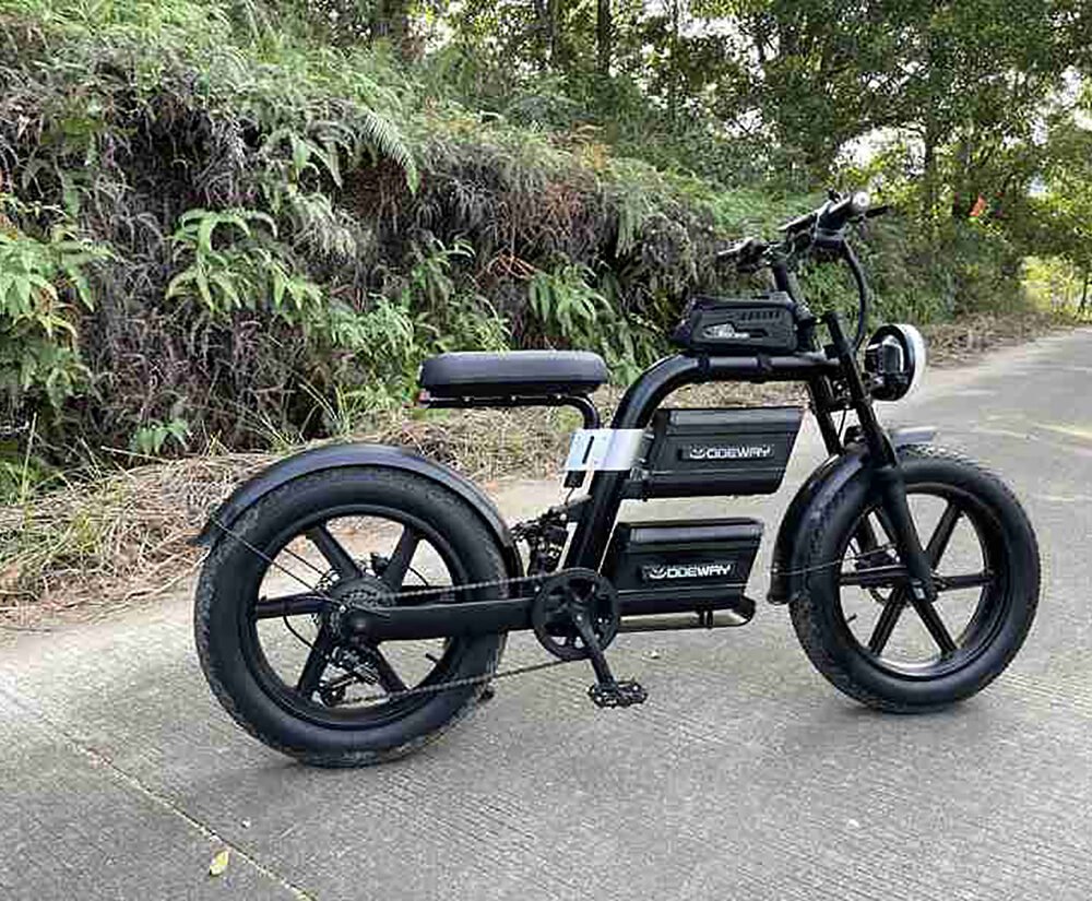 Review Electric Bike