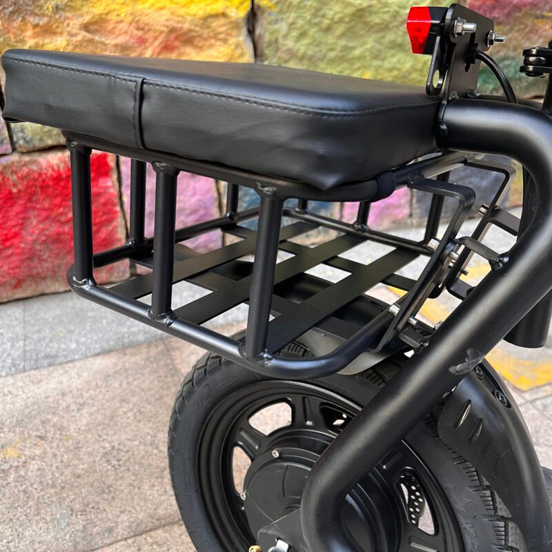 Powerful Electric bike