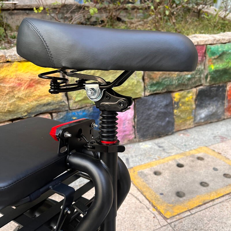 Lithium battery Electric bike